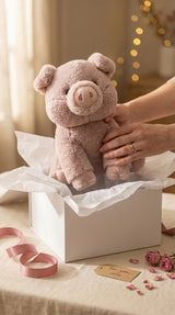 Ollie the Pig — Happy Anti-Stress Plush Toy